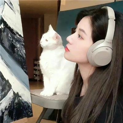 灰姑娘之舞动奇迹